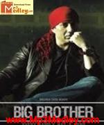 Big Brother 2007 album cover