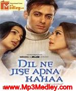 Dil Ne Jise Apna Kaha 2004 songs