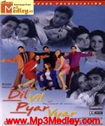 Dil Vil Pyar Vyar 2002 album cover