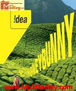 Honey bunny idea album