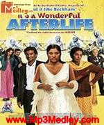 Its Aa Wonderful Afterlife 2010 album cover
