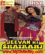 Jeevan Ki Shatranj 1993 album cover