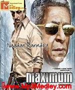 Maximum 2012 album cover