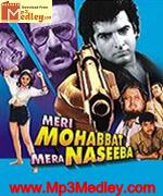 Meri Mohabbat Mera Naseeba 1995 album cover