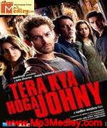 Tera Kya Hoga Johny 2010 album cover