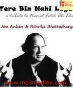 Tere Bin Nahi Lagda album cover