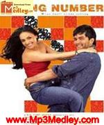 Tumse Milke Wrong 2003 album cover