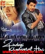Zindagi Khoobsoorat Hai 2002 album cover