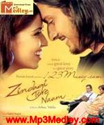 Zindagi Tere Naam 2008 album cover