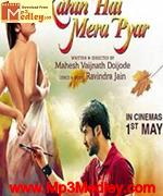 kahin hai mera pyaar 2014 songs